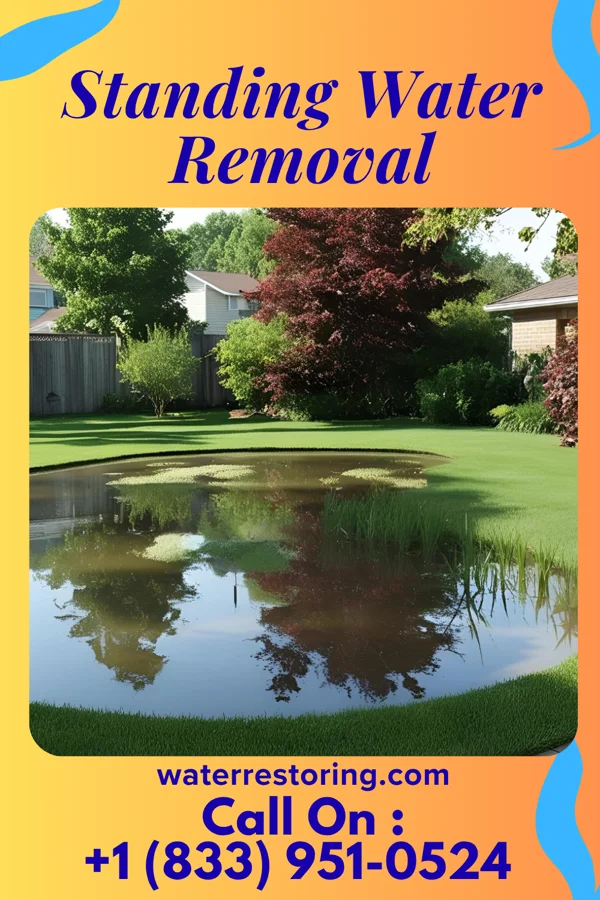 Standing Water Removal in Bloomingdale, GA